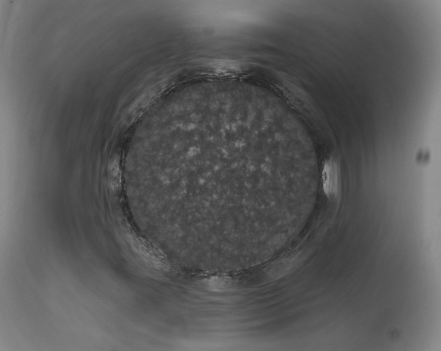 X0000113981395200910021125