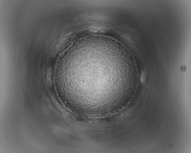 X0000113981396200910021125