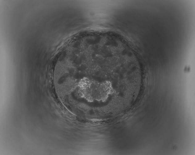 X0000113981397200910021125