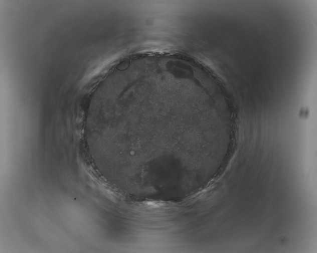 X0000113981399200910021125