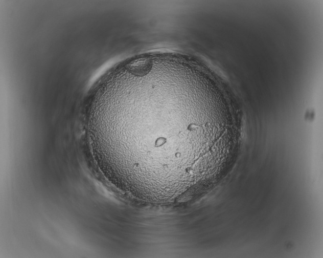 X0000113981400200910021125
