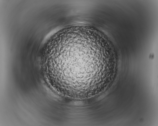 X0000113981402200910021125