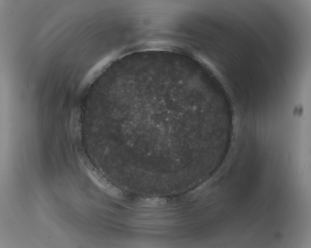 X0000113981403200910021125