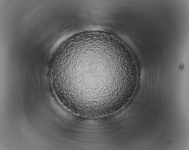 X0000113981404200910021125