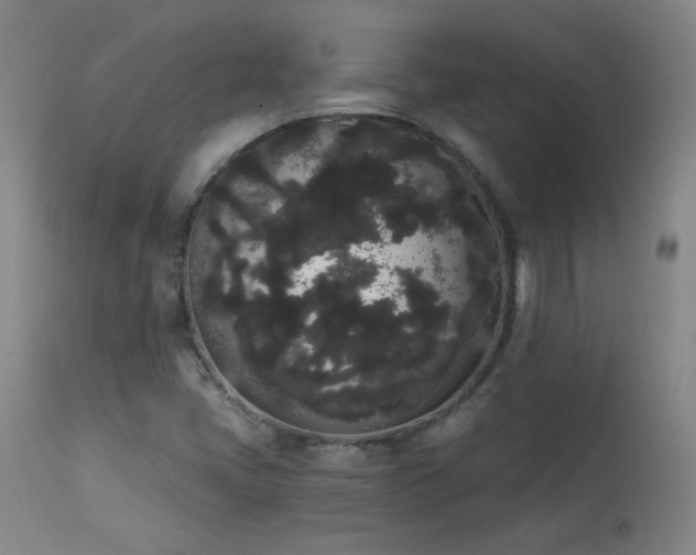 X0000113981405200910021125