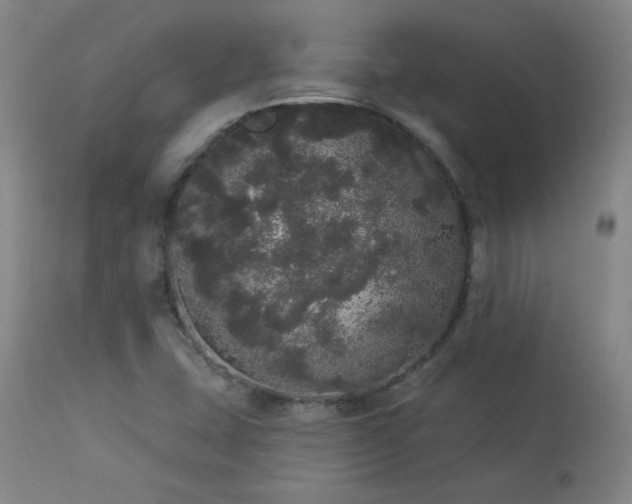 X0000113981407200910021125