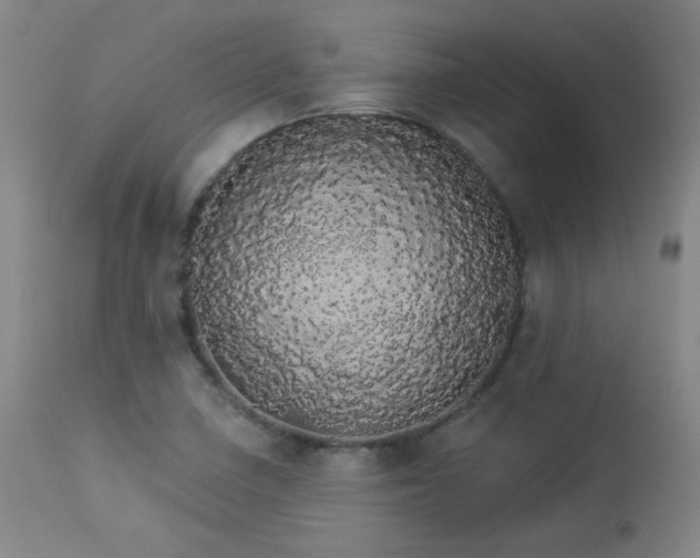 X0000113981410200910021125
