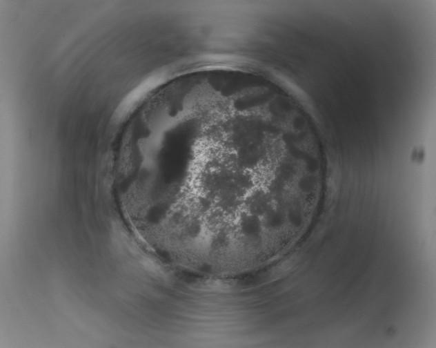 X0000113981411200910021125