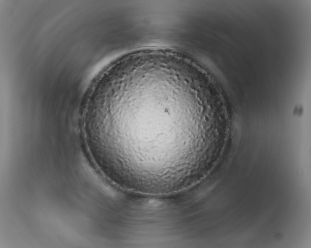 X0000113981412200910021125