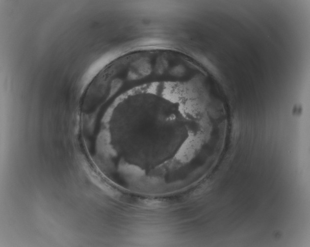 X0000113981413200910021125