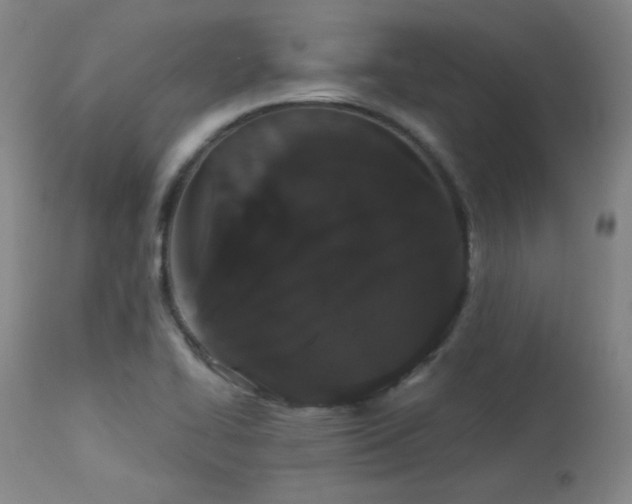 X0000113981414200910021125