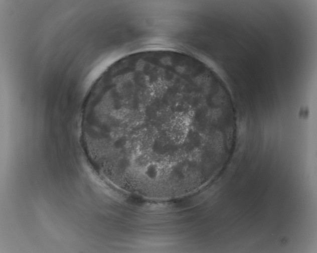 X0000113981415200910021125
