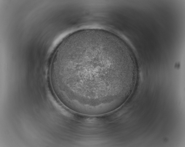 X0000113981416200910021125