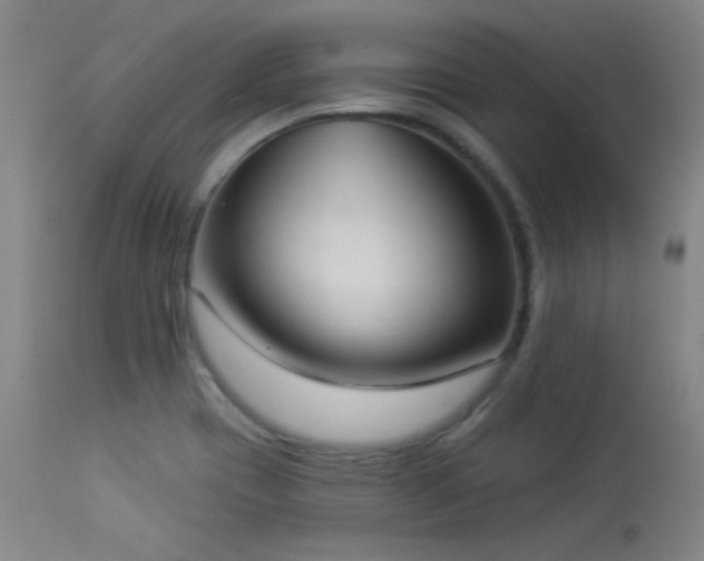 X0000113981417200910021125