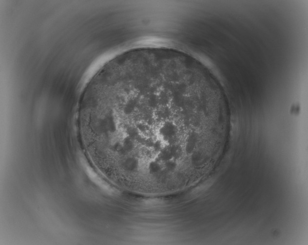 X0000113981421200910021125