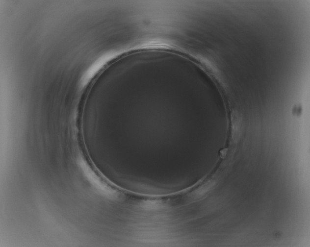 X0000113981422200910021125