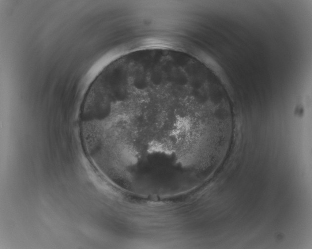 X0000113981427200910021125