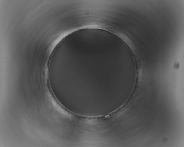 X0000113981428200910021125