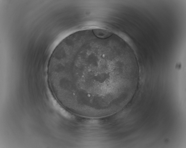 X0000113981431200910021125