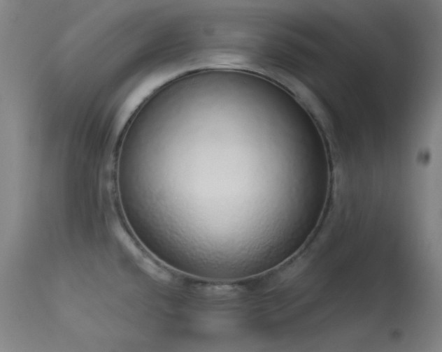 X0000113981432200910021125