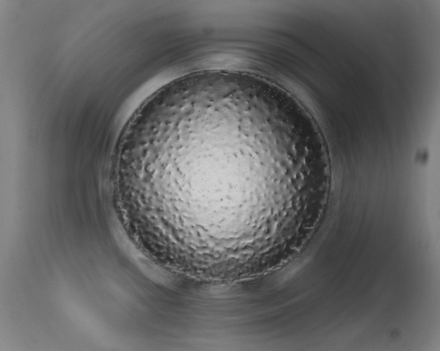 X0000113981434200910021125