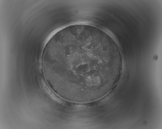 X0000113981436200910021125