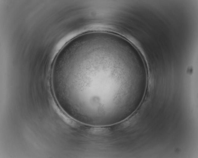 X0000113981437200910021125
