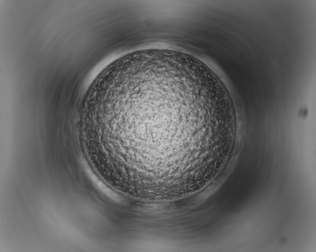 X0000113981438200910021125