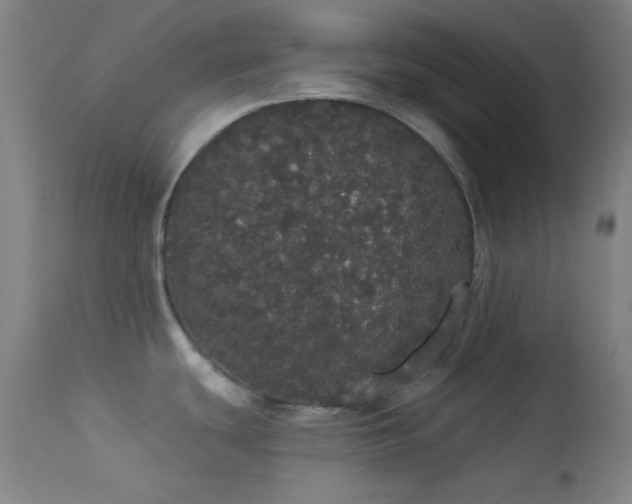 X0000113981439200910021125