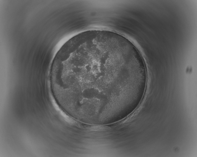 X0000113981440200910021125