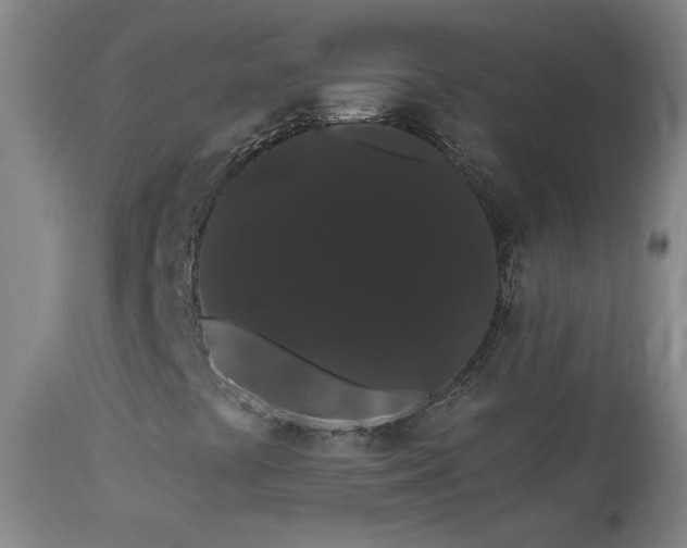X0000113981441200910021124