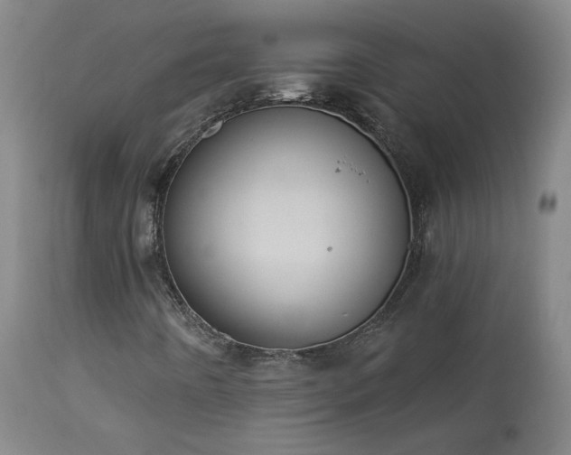 X0000113981442200910021124