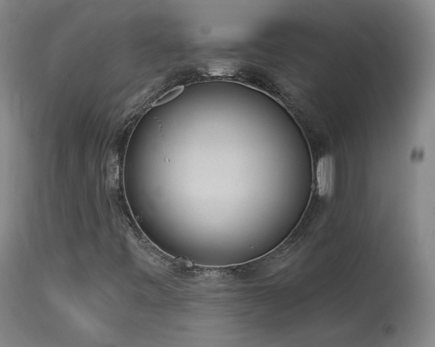 X0000113981443200910021124