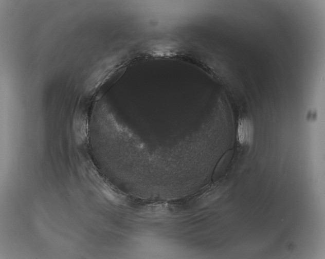 X0000113981444200910021124