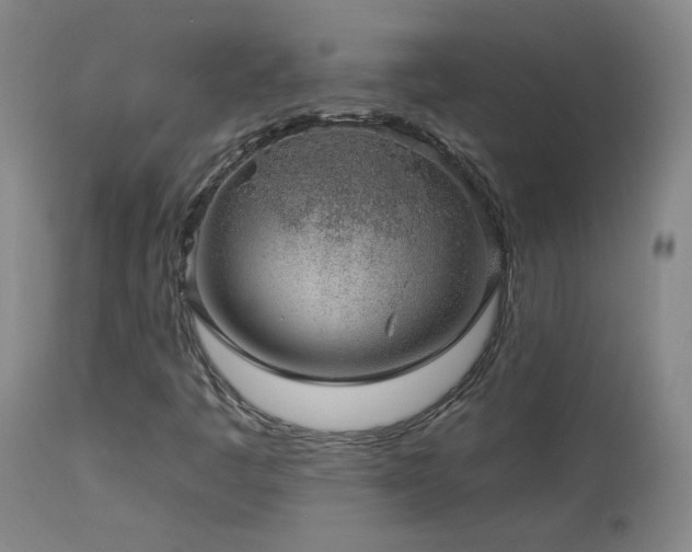 X0000113981445200910021124