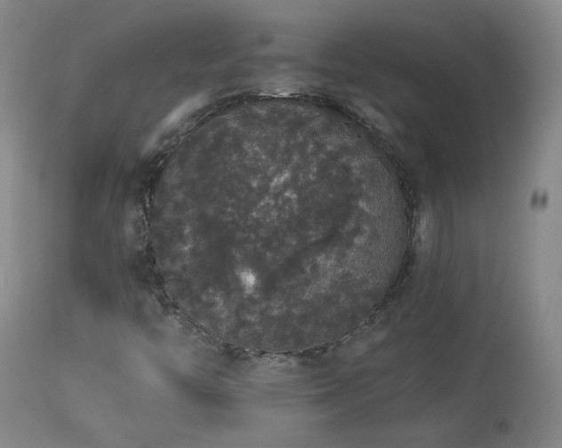 X0000113981446200910021124