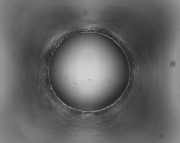 X0000113981447200910021124