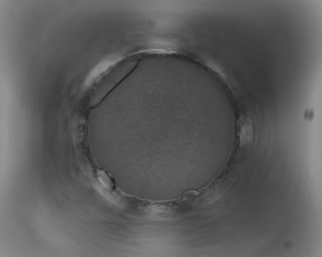 X0000113981448200910021124