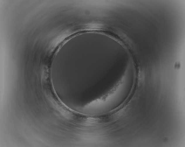 X0000113981449200910021124