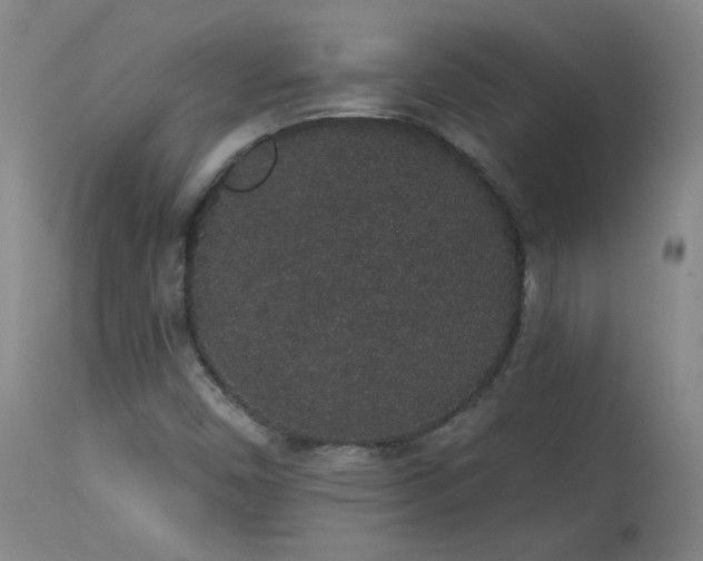 X0000113981450200910021124