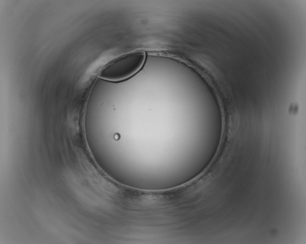 X0000113981451200910021124
