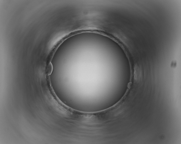 X0000113981452200910021124