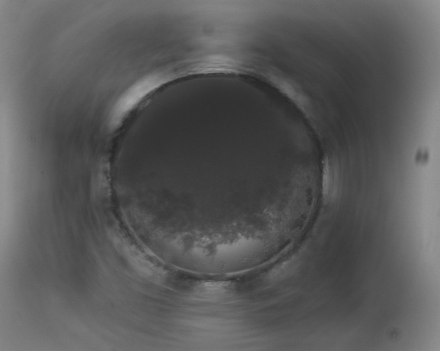 X0000113981453200910021124