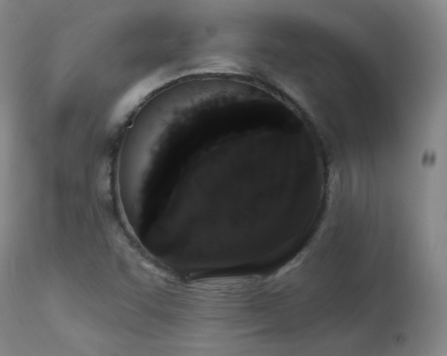 X0000113981455200910021124