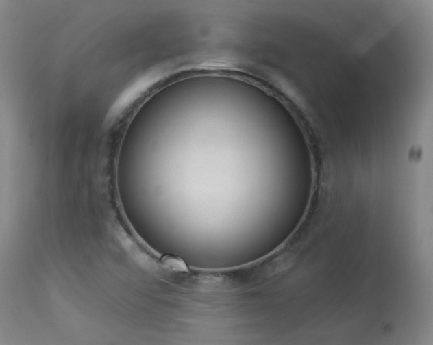 X0000113981456200910021124