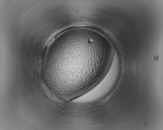 X0000113981457200910021124
