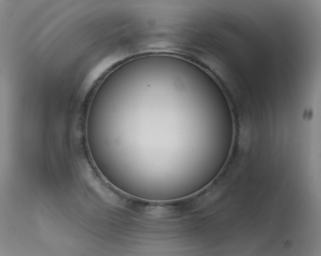 X0000113981458200910021124