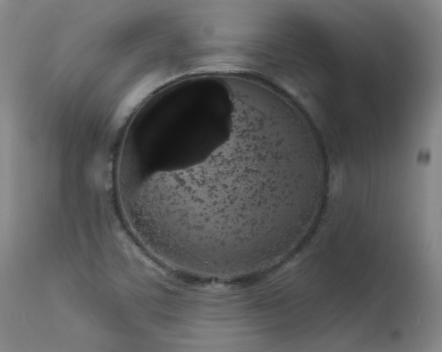 X0000113981459200910021124