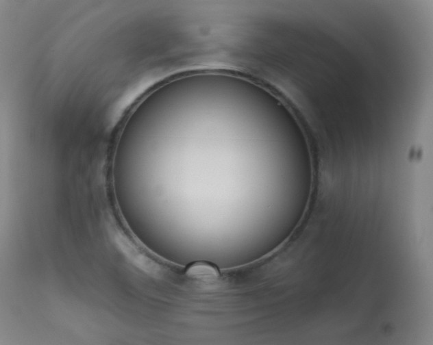 X0000113981460200910021124