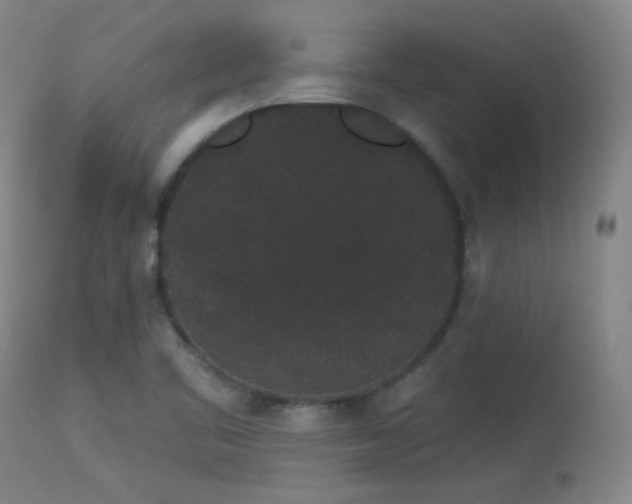 X0000113981461200910021124